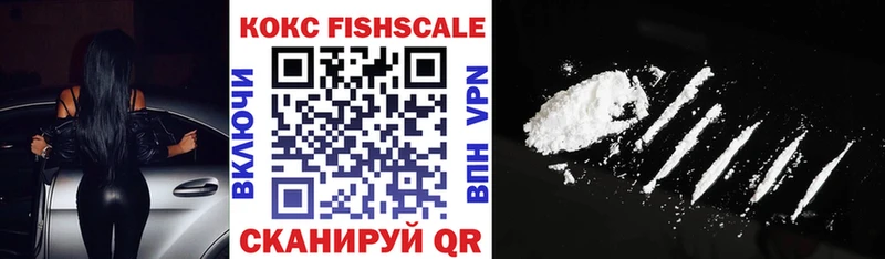 закладки  Новоалександровск  Кокаин Fish Scale 