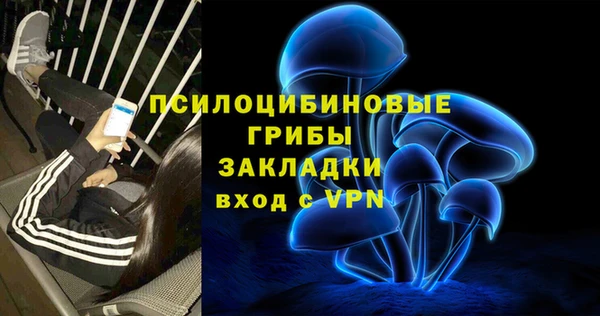 кокс Алексин
