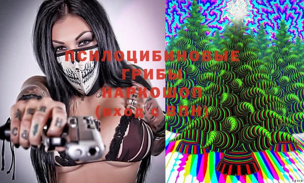 альфа пвп Алексеевка