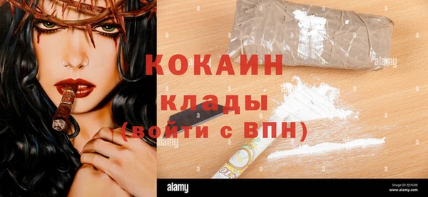 кокс Алексин