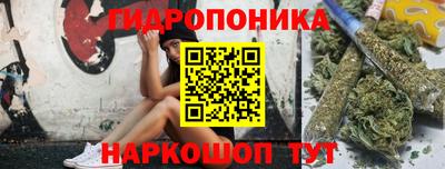 мяу мяу мука Гусиноозёрск