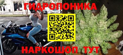 мяу мяу мука Гусь-Хрустальный