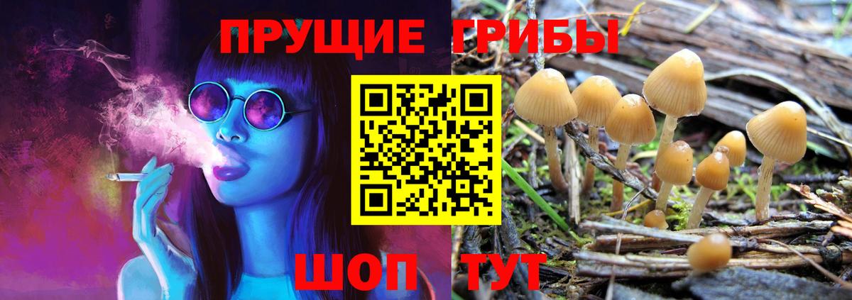 Псилоцибиновые грибы прущие грибы  Вход с VPN  Новоалександровск  Псилоцибиновые грибы прущие грибы 