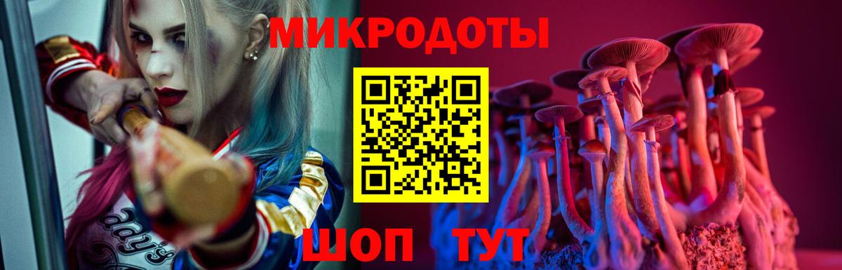 Галлюциногенные грибы Psilocybine cubensis Новоалександровск